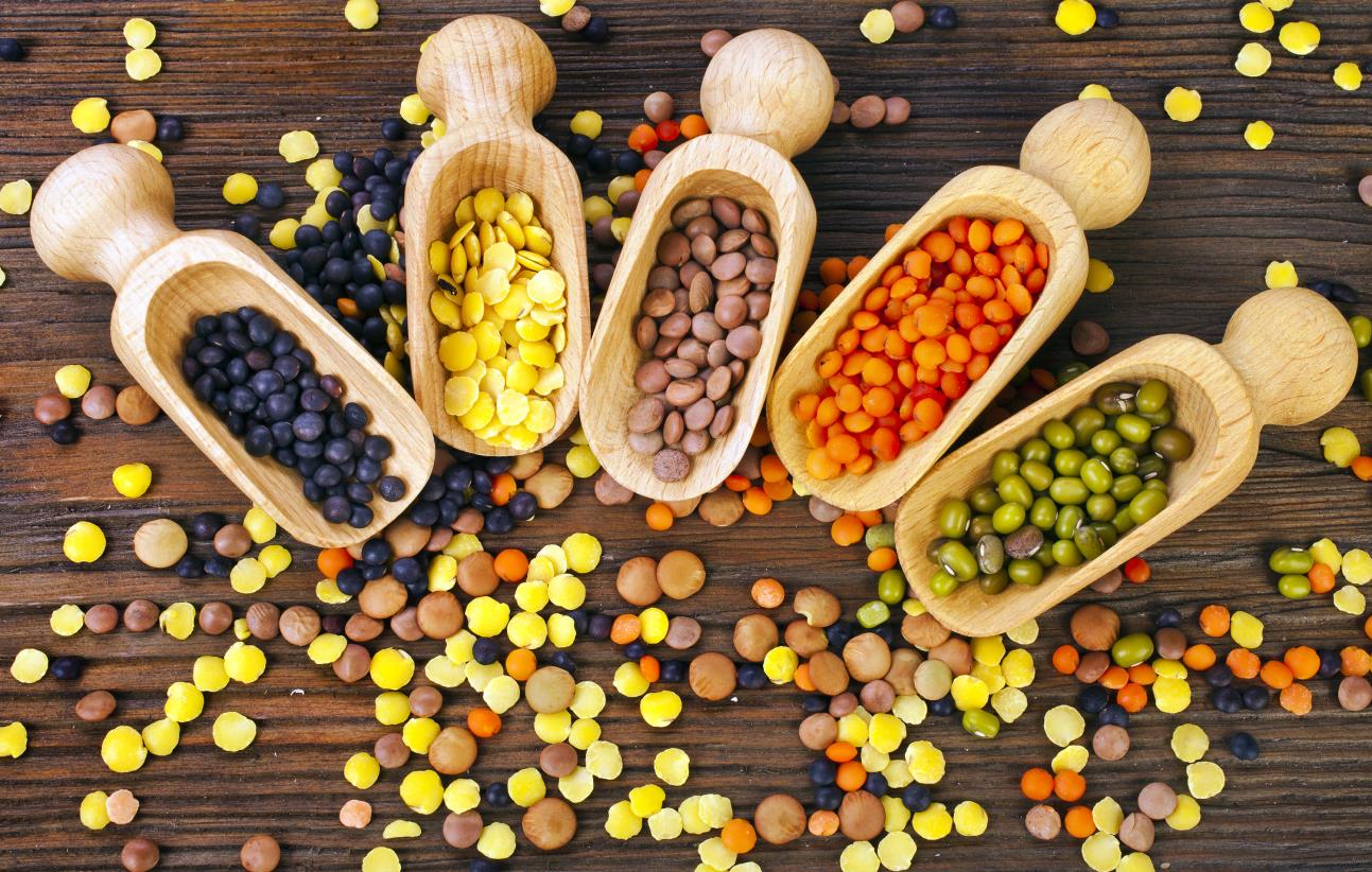 Pulses Wholesome Plant Staples