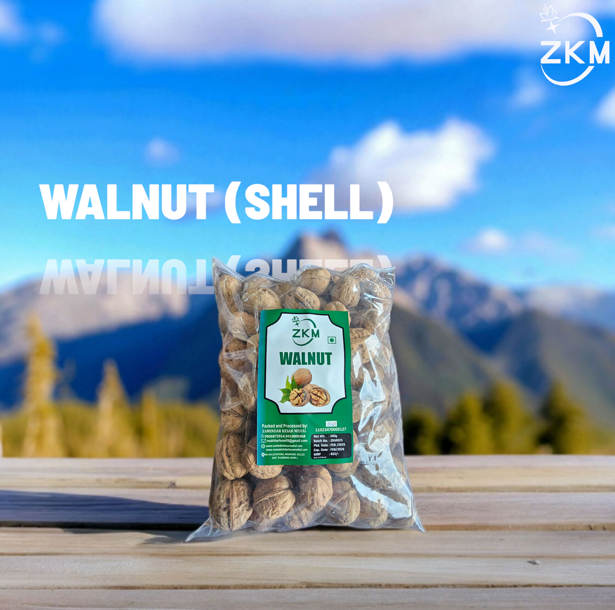 Walnut (With Shell)