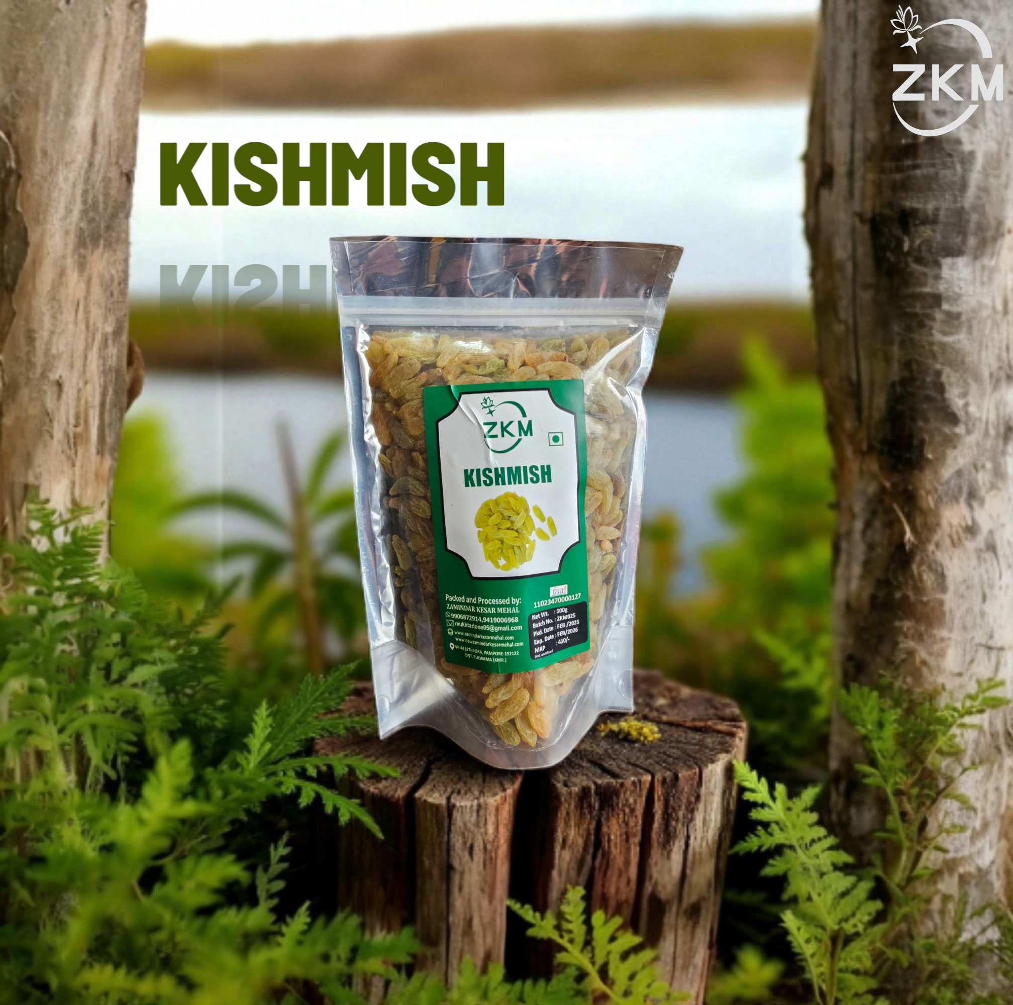 Kishmish